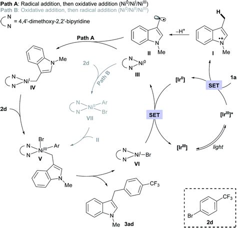 Benzylic C(sp 3 )–C(sp 2 ) cross-coupling of indoles enabled by ...