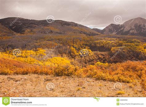 Manti-La Sal National Forest (2020) Stock Photo - Image of nature ...