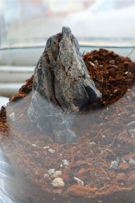 The Complete Seiryu Stone Hardscape Guide (Varieties & Uses)