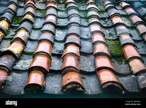 Parthenon Roof Tiles