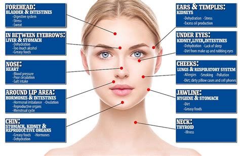 What your skin says about your health | Face mapping acne, Face mapping, Face acne