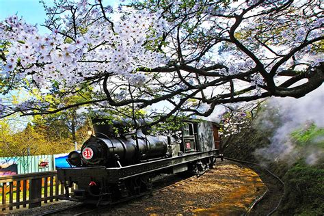 阿里山森林鐵路 > 嘉義市 > 交通部觀光署