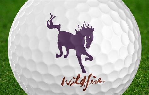 Home [www.wildfiregolf.com]