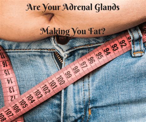 Can Adrenal Glands Make You Fat? - Wendy Polisi