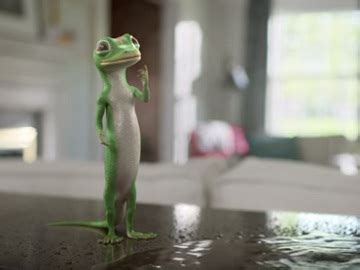 GEICO Homeowners Insurance Commercial - Indoor Pool Party