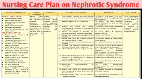 NCP-62 Nursing Care Plan on Nephrotic Syndrome/Renal/ Genito-urinary Disorders - YouTube