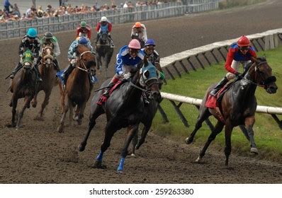 76 Hastings Racecourse Stock Photos, Images & Photography | Shutterstock