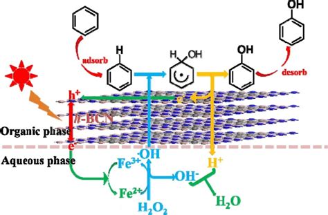 Reaction mechanism of photocatalytic hydroxylation of benzene by h−BCN ...