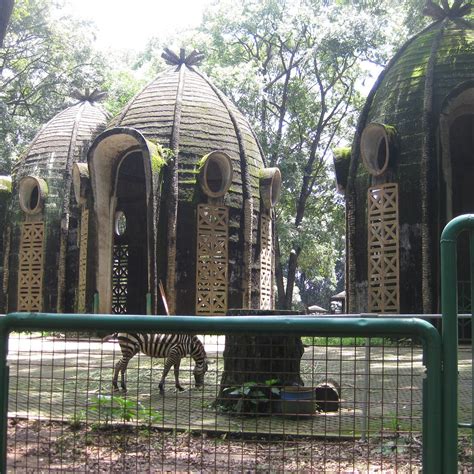 Ragunan Zoo (Jakarta) - 2021 All You Need to Know BEFORE You Go | Tours & Tickets (with Photos ...