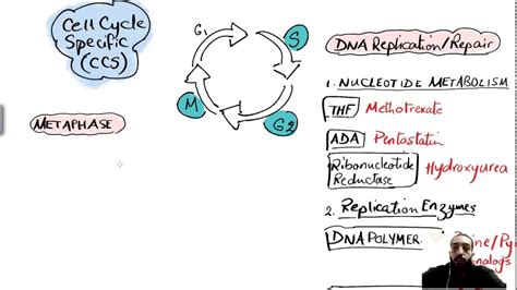 Chemotherapeutics-Antineoplastic Drugs - YouTube