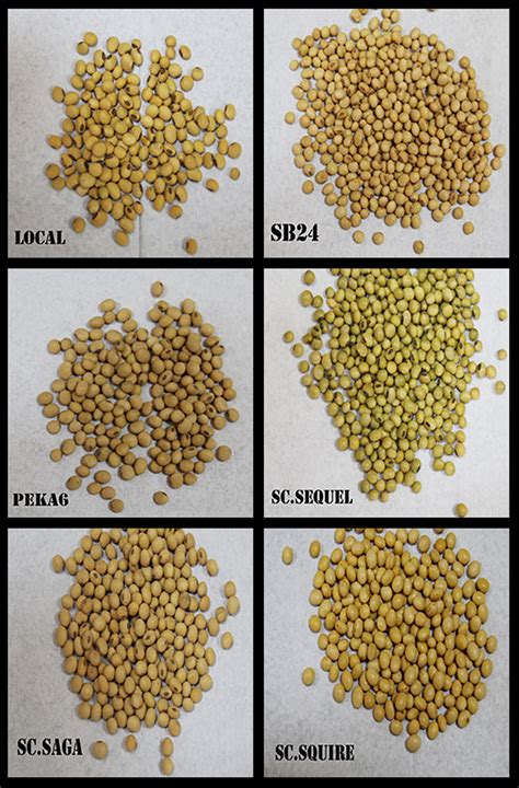 The effect of different processing methods on nutrient and isoflavone ...