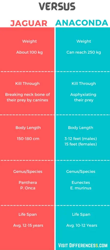 Jaguar Vs Anaconda Differences And Comparison » Differencess