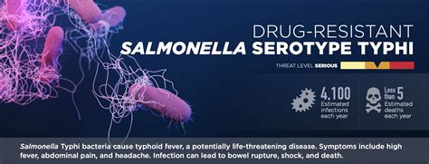 Medical News Today on Twitter: "@CDCgov The second type of salmonella ...