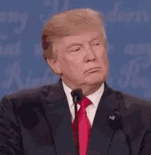 Donald Trump GIFs | Tenor