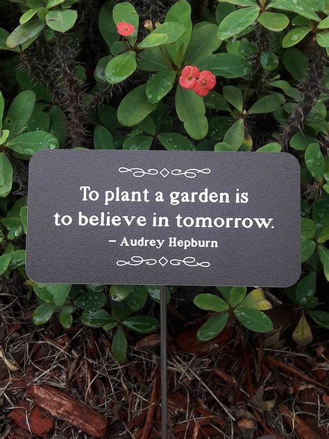 30+ Best Garden Sign Ideas and Designs for 2020