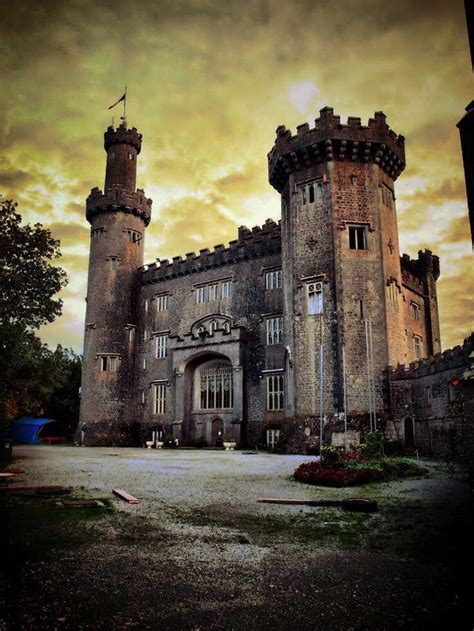 Charleville Castle, Co. Offaly Beautiful Castles, Beautiful Buildings ...