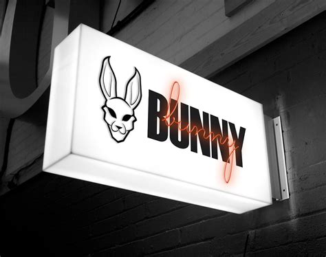 Bunny Branding - Brand Identity - Logo :: Behance