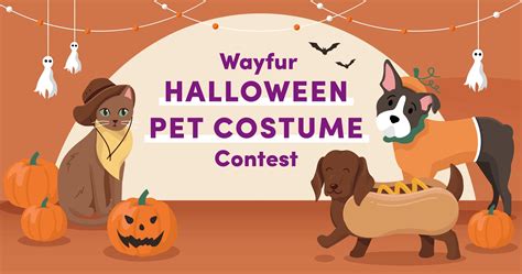 Enter Your Pets into this Spooky Halloween Costume Contest in 2021 ...