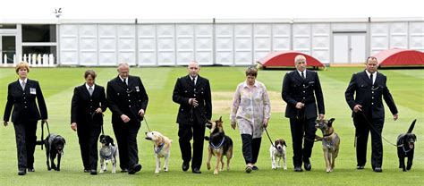 Animal OBEs awarded to Police Dogs for London terror attack heroics – London Post – The Detector ...