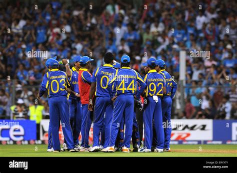 Srilanka Cricket Team Logo