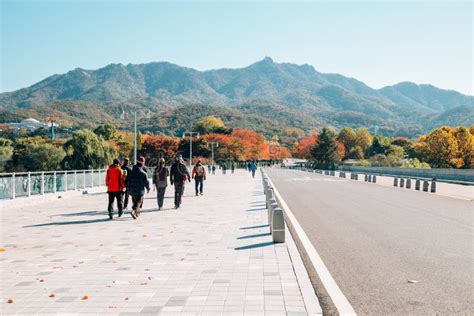 Seoul Grand Park at Autumn in Gwacheon, Korea Editorial Stock Photo ...