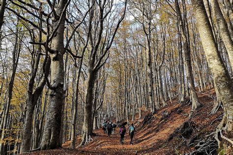 Cartotrekking, hiking experiences in Amalfi Coast, discover trails, nature and Landscapes of ...