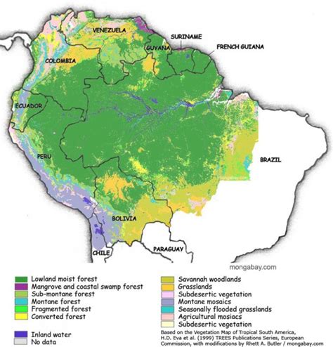 Location And Extent Of Amazon Rainforest - Inge Regine
