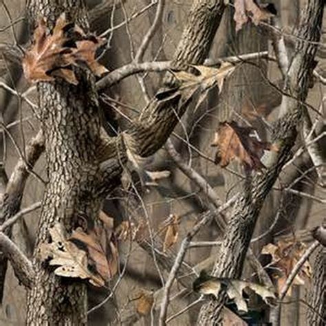 Image result Realtree Camo Wallpaper, Camouflage Wallpaper, Deer Wallpaper, Camo Patterns ...