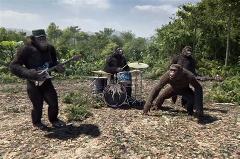 Los músicos de Coldplay se transforman en simios para el videoclip de ...