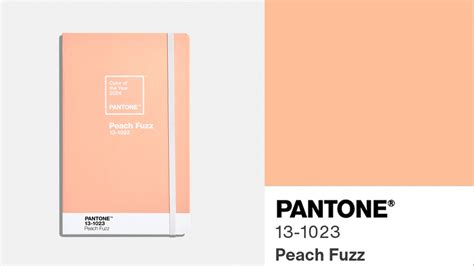 What is the Pantone color of the year? Peach Fuzz named color of the year 2024; What is PANTONE ...