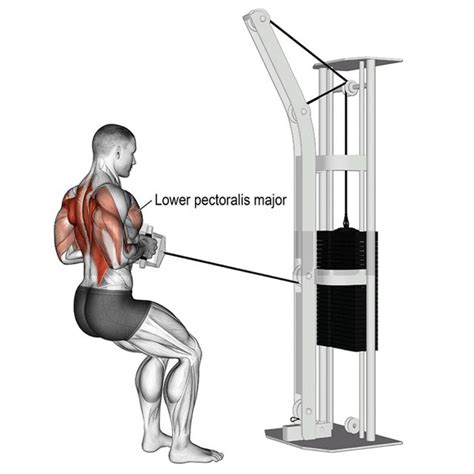 Standing Cable Row by John M. - Exercise How-to - Skimble