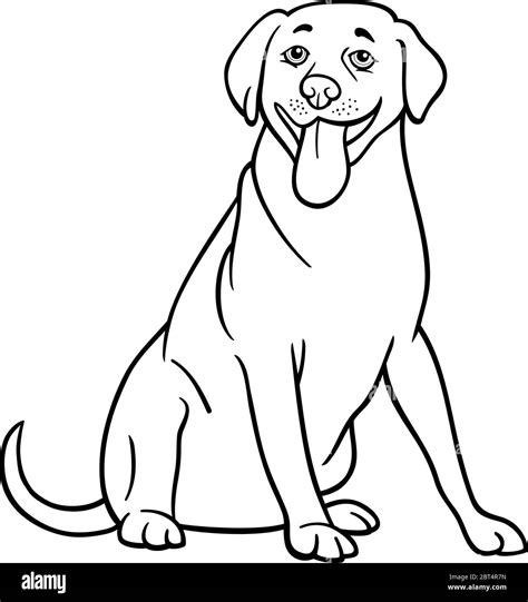 Ilustración caricatura en blanco y negro de gracioso Labrador Retriever perro de Coloring Book ...