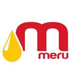 Meru Logos