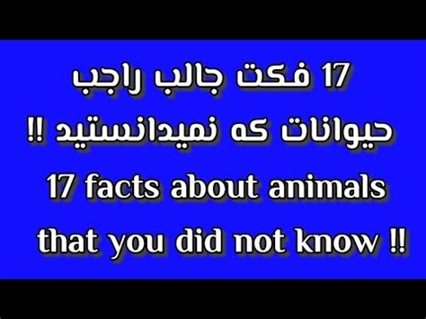 حقایقی جالب راجب حیوانات که نمیدانستید !! 17fact about animals that you did not know #animals ...