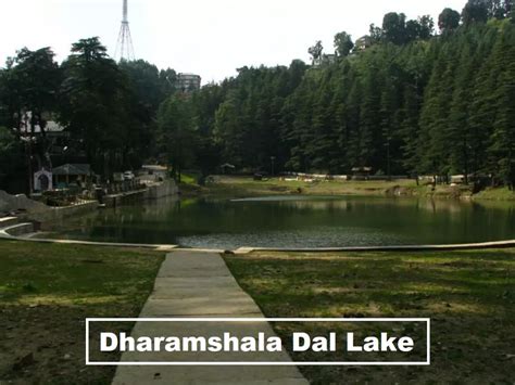 Everything You Need To Know About Dharamshala Dal Lake - Free Guide For You