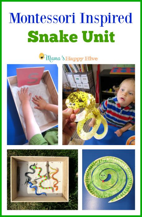 Montessori Inspired Snake Unit