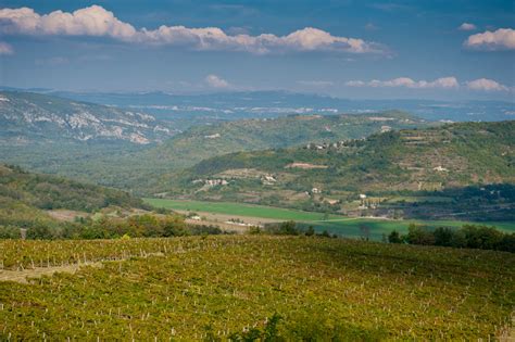 Croatian Wine Regions: A Quick Overview