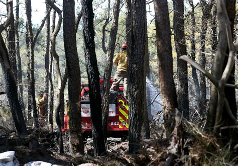 Forest fire that burned 170 acres, destroyed buildings now 100% ...