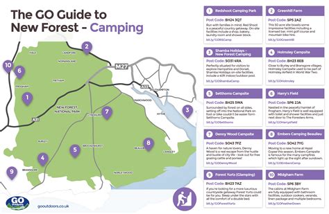 new-forest-infographics-go-camping | GO Outdoors Blog