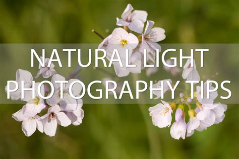 Natural Light Photography Tips | Discover Digital Photography