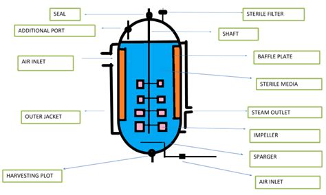 Draw a neat-labelled diagram of simply stirred tank bioreactor.\n \n \n \n \n