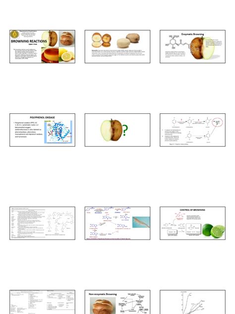 Browning Reaction in Foods | PDF