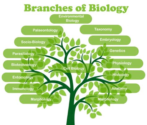 Biology Definition - JavaTpoint