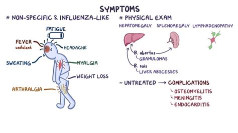 Brucella: Video, Anatomy, Definition & Function | Osmosis