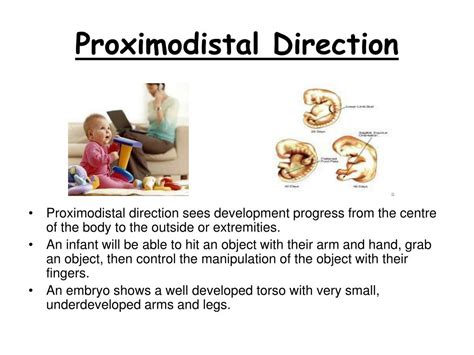 PPT - The Interrelationships Between Health and Physical, Social, Emotional and Intellectual ...