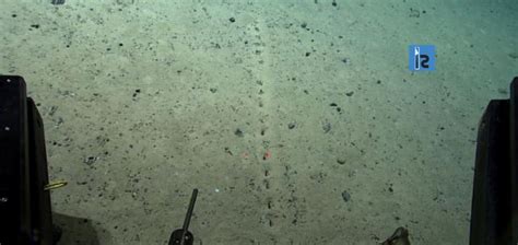 NOAA Ocean Exploration Agency Discovers Mysterious Patterns