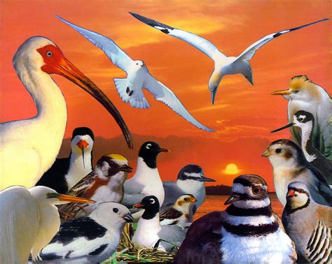 Sunset Birds by https://www.deviantart.com/theseaknight on @DeviantArt | Birds, Art, Amazing art