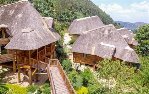 A Guide to the Best Safari Lodges in Uganda - Now Then Digital