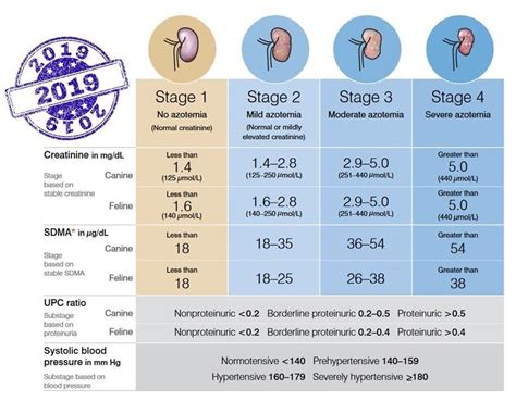 Nephrovet - Updated 2019 IRIS CKD staging system, with...