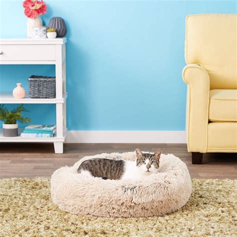 6 Best Cat Beds For Large Cats In 2023 - Cat Mania